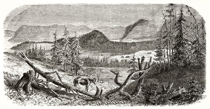Natural landscape going to mountains very far in the distance in Nordsjo, Sweden. Ancient grey tone etching style art by unidentified author, Le Tour du Monde, 1862