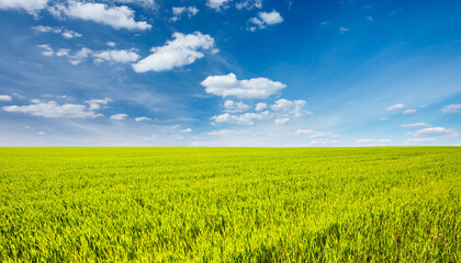 Fantastic green field with white fluffy clouds. Location place Ukraine, Europe.