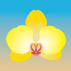 One single orchid flower. It is a yellow flowerhead and the background is a blue and ocher gradient

