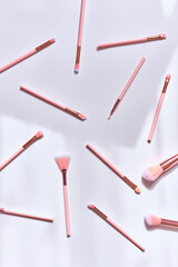Professional makeup brushes isolated on white background. Cosmetic composition