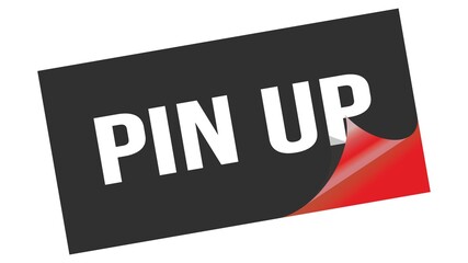 PIN UP text on black red sticker stamp.