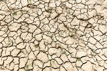 Global warming concept, Cracked soil arid land with dry and cracked ground desert texture background