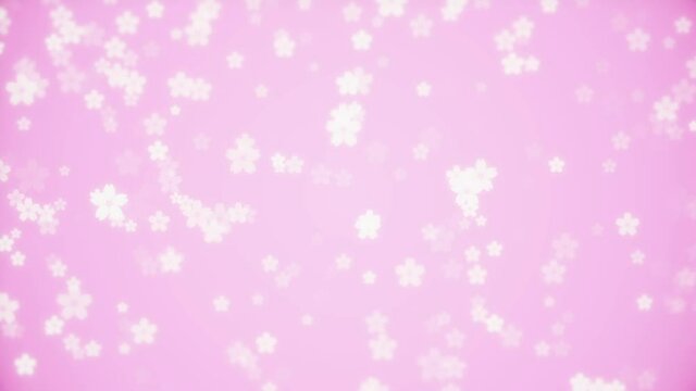 Cherry blossom loop background