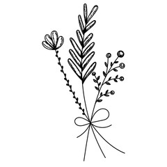 sketch of a plant, grass, flowers in a bouquet