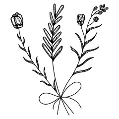  isolated, sketch of a plant, grass, flowers in a bouquet