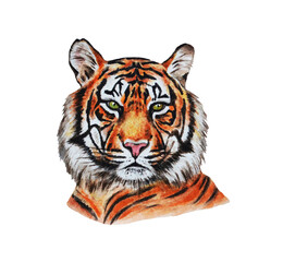 The head of a tiger. Watercolor. Illustration. Hand drawn. Template.