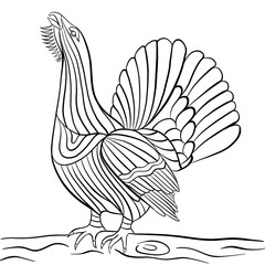 Western capercaillie bird coloring page contour illustration for children and adults