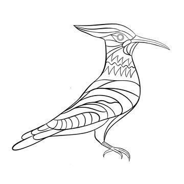 recommend clip art: Eurasian hoopoe bird coloring page contour illustration for children and adults