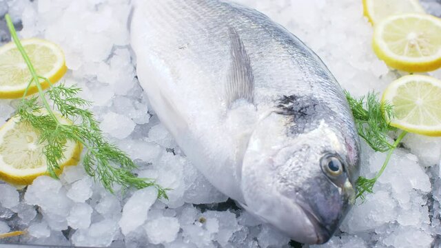 fresh sea bream on ice with lemon slice