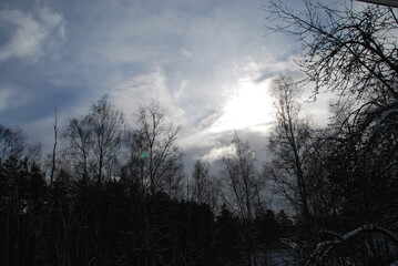 Light blue sky with white clouds, below the dark wall of the winter forest. Dark brown tree trunks with branches without leaves.