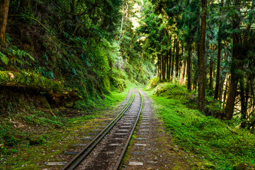 The old forest railway section of Alishan Forest Recreation Area in Chiayi, Taiwan, but is now obsolete and unable to operate