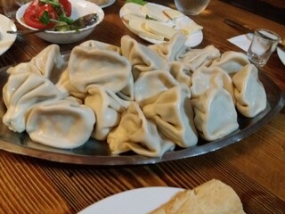 dumplings with meat