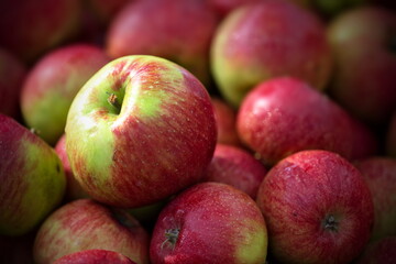 frische Äpfel