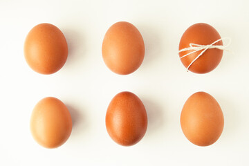 Brown eggs in two rows on white background