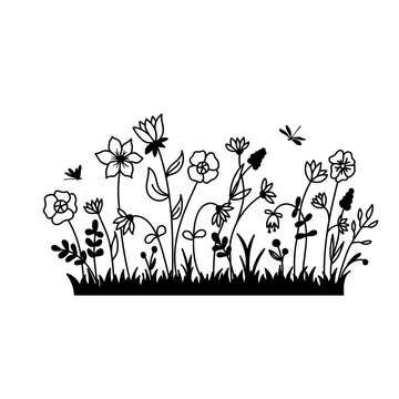 recommend clip art: Vector wild herbs and flowers silhouette background. Field with grass and wildflowers isolated on a white background