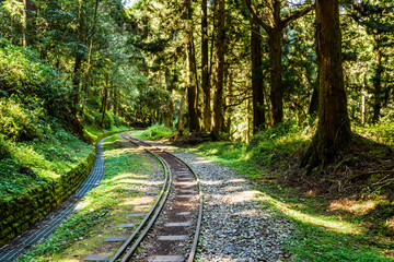The Forest Railway passes through the Alishan Forest Recreation Area in Chiayi, Taiwan.