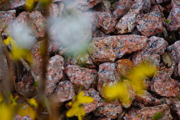 grilled meat on the grill