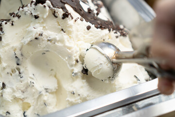Artisan ice cream shop and factory
