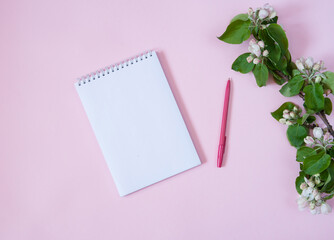 Flower composition. Notepad, pen and a branch of a blossoming apple tree with green leaves and white-pink flowers and buds on a pastel pink background. Top view. Free space.