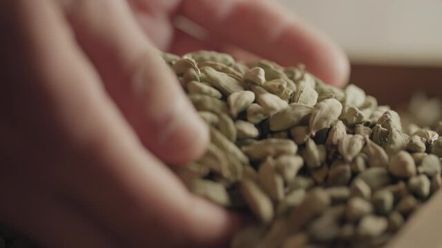 Close up of Cardamom Pods being handled in a gin distillery