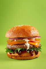 Hamburger on a green background