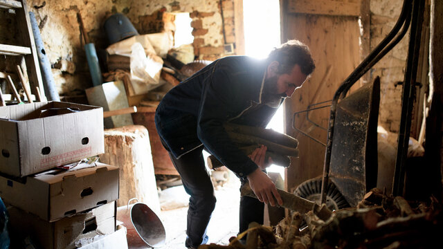 Poor Mature Man Gathering Firewood At Home, Poverty Concept.