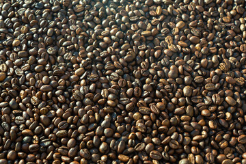 Obraz premium Roasted coffee beans texture close up