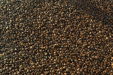 Roasted brown coffee beans background