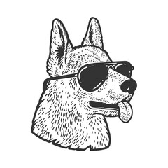 shepherd dog in sunglasses sketch engraving vector illustration. T-shirt apparel print design. Scratch board imitation. Black and white hand drawn image.