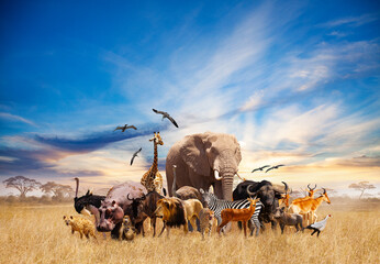 Papier Peint Animals in Africa giraffe, lion, elephant, others