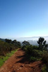 Fototapeta premium Hiking Path towards Cape Town, South Africa