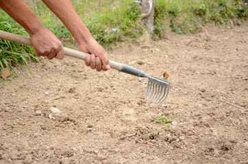 the farmer with rake made the clay of farm.