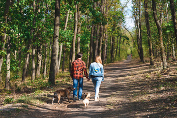 couple with dogs walking at green park