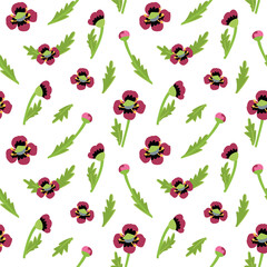 Vector seamless pattern. Forest and meadow grasses and flowers. Floral rustic background. Nature illustration for wrapping paper, textiles, decorations.