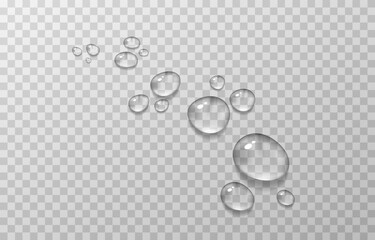 Vector water drops. PNG drops, condensation on the window, on the surface. Realistic drops on an isolated transparent background.