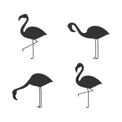 Flamingo icon set. Flamingos black silhouette in different poses. Vector illustration isolated on white