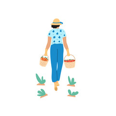 Vector illustration of woman carrying wicker baskets with harvest full of  fresh vegetables, carrots and tomatoes or apples. Concept of gardening isolated on white background. View from the back.
