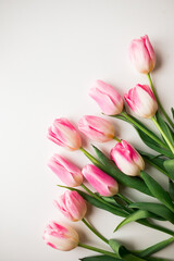 Obraz premium Bouquet of pink tulips isolated on white background. Valentine's Day and Mother's Day background. Top view