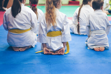 Children in karate training. Figures in white kimano on a colored tatami background.  Copy-space. © Uladzimir