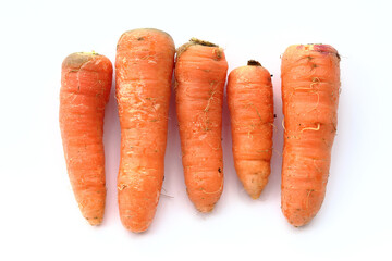 収穫したばかりのオレンジ色のふぞろいの人参