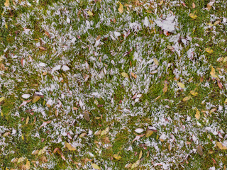 Green grass under first white snow background, seamless pattern texture for use in print design