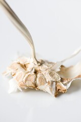 Stengel mit  Schalenresten vom Knoblauch, close up