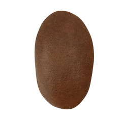 Realistic Coffee Bean 3D illustration