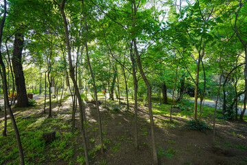 ジョージア・トビリシの街並み