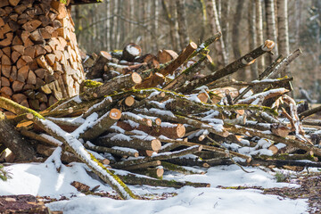 Structure or pile composed of blocks, pieces or logs of wood in winter or spring with snow. The art of stacking wood for drying and storage