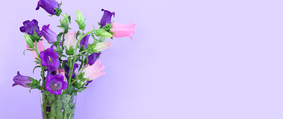 spring bouquet of purple and pink bell flowers over purple wooden background