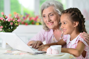 portrait of  grandmother and granddaughter using laptop