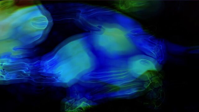 psycho delusion illusion hallucinations motion