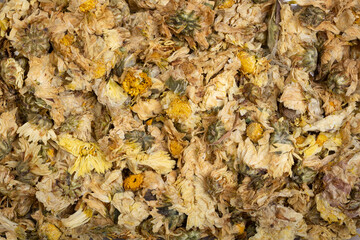 Dried chrysanthemum flowers for boiling in hot water mixed with sugar to make chrysanthemums tea.