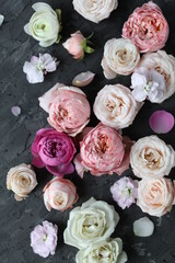 Rose buds of different pink shades on a gray background. Place for  text. Floral decor. View from above.